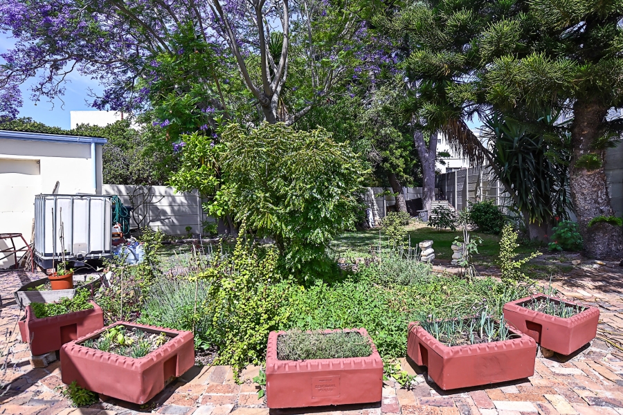 3 Bedroom Property for Sale in Plumstead Western Cape